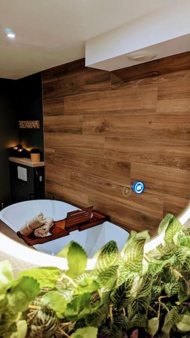 Le Petit Bali Lejlighed Sélestat Eksteriør billede