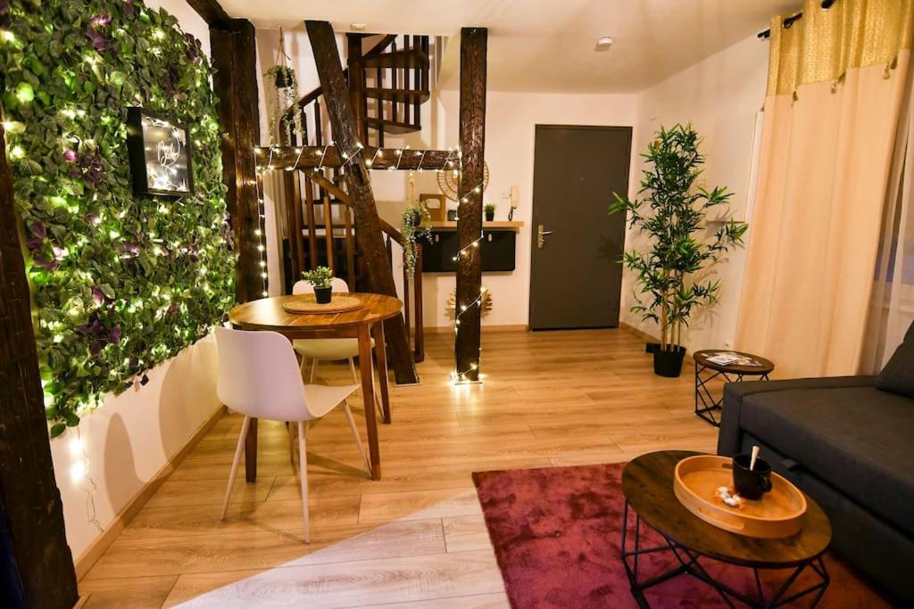 Le Petit Bali Lejlighed Sélestat Eksteriør billede